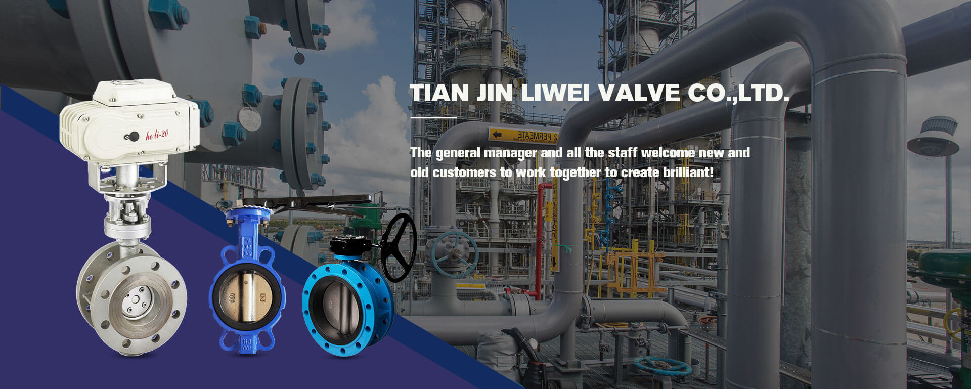 Tianjin LIWEI Valve Co., Ltd.