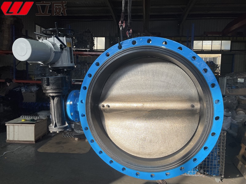 Worm Gear Ductile Iron Double Flange Butterfly Valve