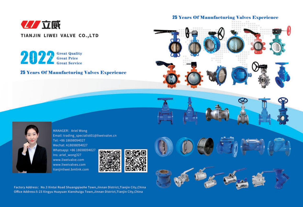 Tianjin Liwei Valve Manufacturing Co., Ltd